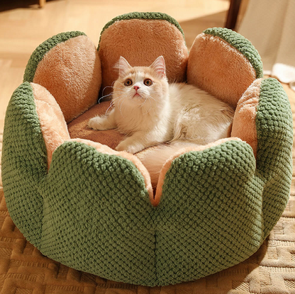 Panier CozyCactus™ Pet Bed #chats #chien